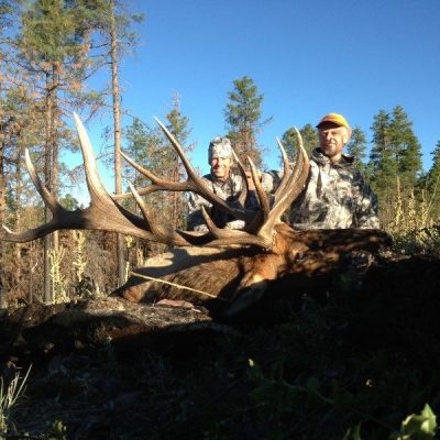 350-bull-2014-1