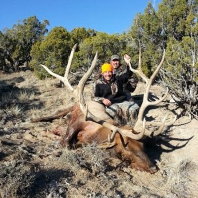 370plus-bull-2012-1