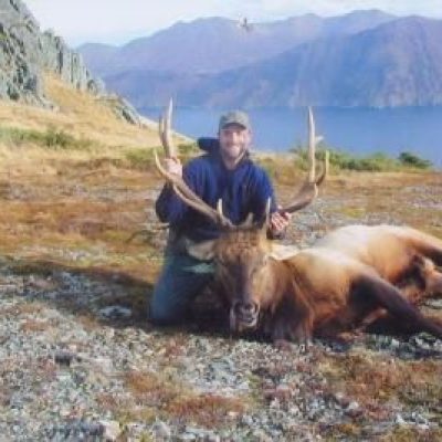 Alaska-Elk