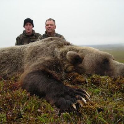 Alaska-Grizzly-Bear1