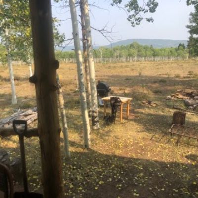 Cabin-For-Rent-CO-Unit-61-Outside-View