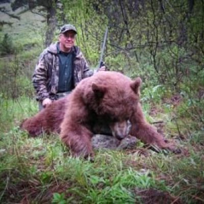 Idaho-Black-Bear1