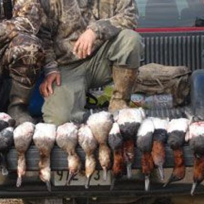 Maryland-Duck-Hunts