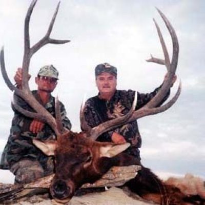 Montana-Elk2