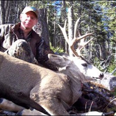 Montana-Mule-Deer3