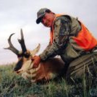 Montana-Pronghorn-Antelope1