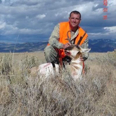 Montana-Pronghorn-Antelope3