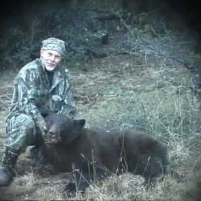 New-Mexico-Black-Bear