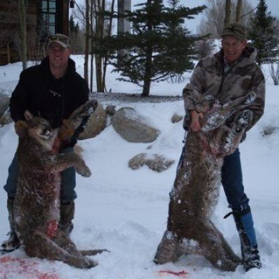 New-Mexico-Mountain-Lion-Hunting1