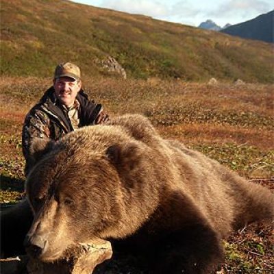 Nice-sized-brown-bear